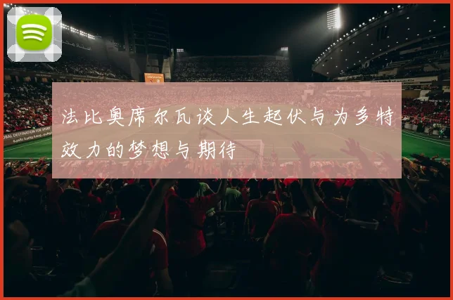 法比奥席尔瓦谈人生起伏与为多特效力的梦想与期待