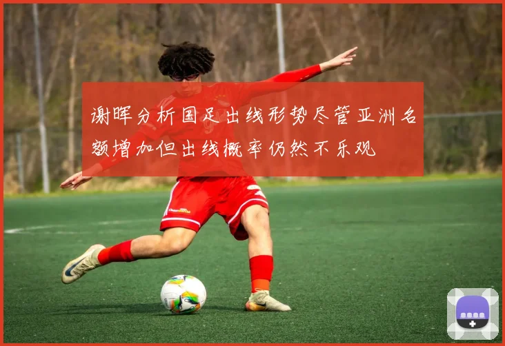 谢晖分析国足出线形势尽管亚洲名额增加但出线概率仍然不乐观