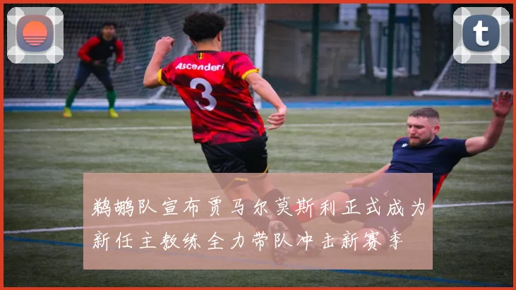 鹈鹕队宣布贾马尔莫斯利正式成为新任主教练全力带队冲击新赛季